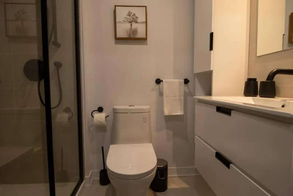 Bel Appartement Au Centre-Ville Montreal Apartment