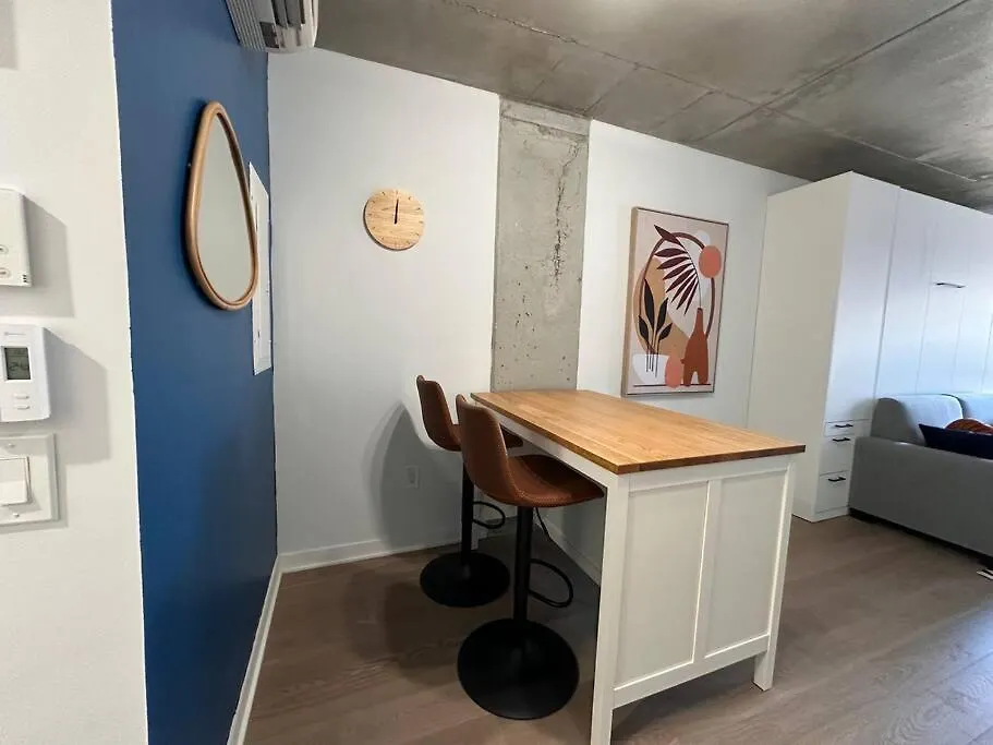 Bel Appartement Au Centre-Ville Montreal