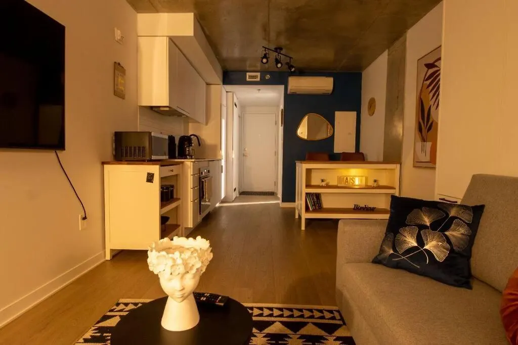 Bel Appartement Au Centre-Ville Montréal